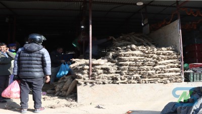  बढ्यो तरुल र सखरखण्डको व्यापार [भिडियो/फोटो फिचर] 